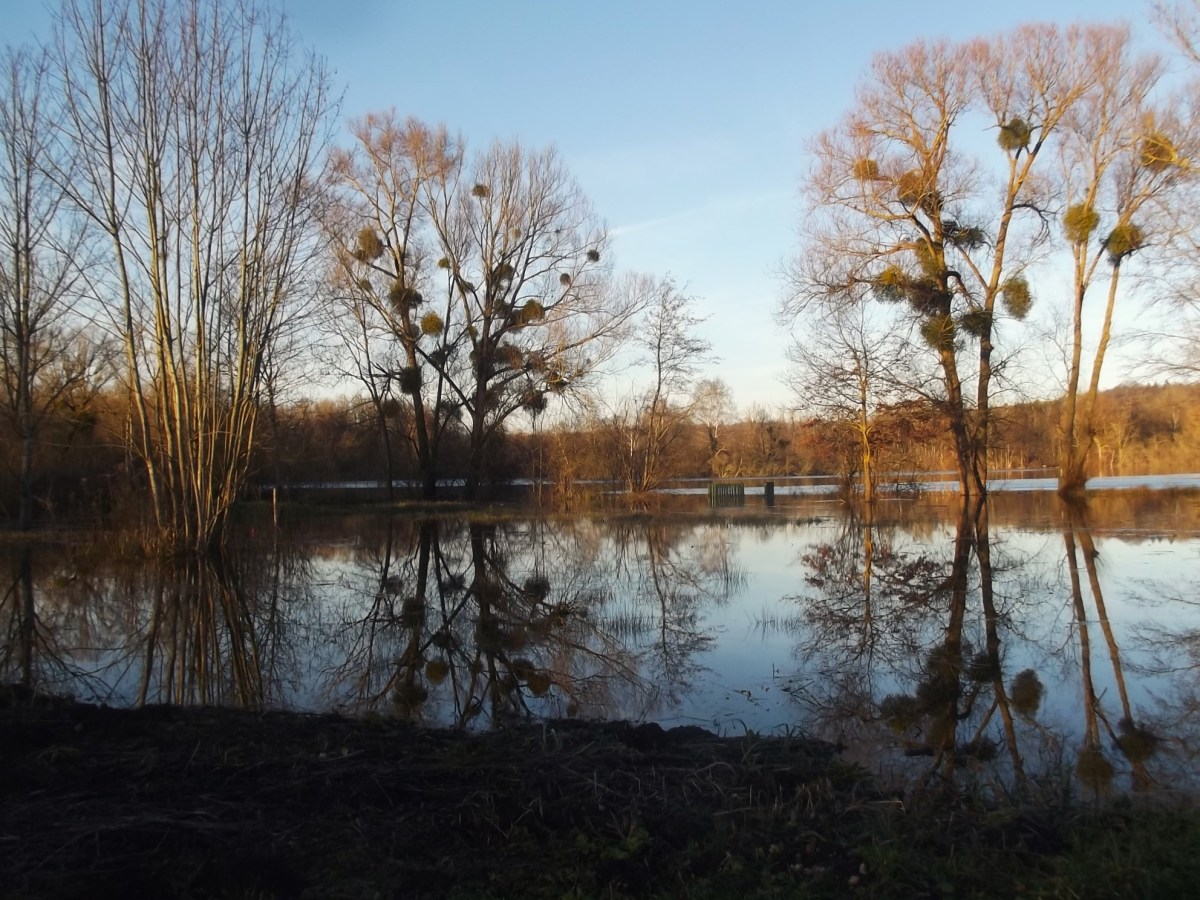 l&rsquo;Art & la vie… l&rsquo;avis &&nbsp;lard